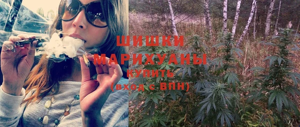 спиды Бородино