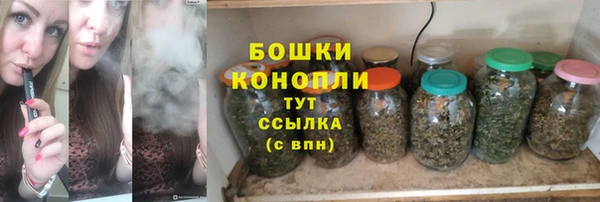 спиды Бородино