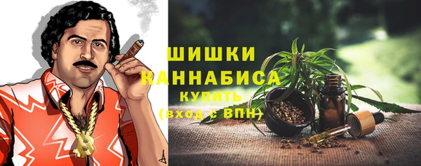 спиды Бородино