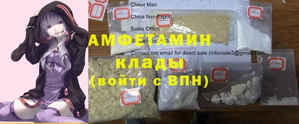 крисы Бронницы