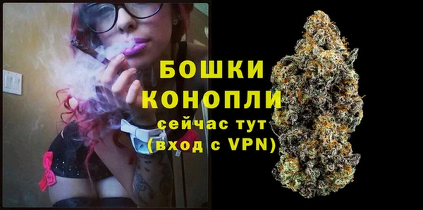 прущие грибы Анжеро-Судженск