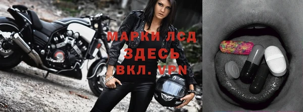 спиды Бородино